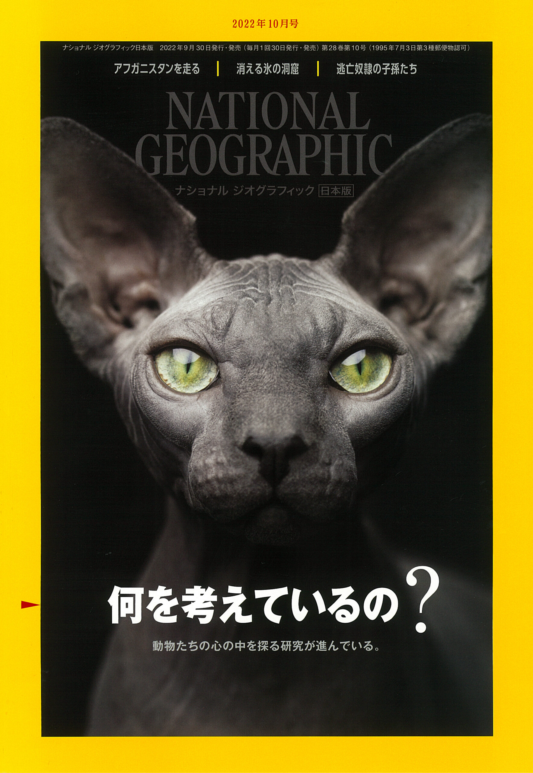 NATIONAL GEOGRAPHIC 日本版 2022年10月号